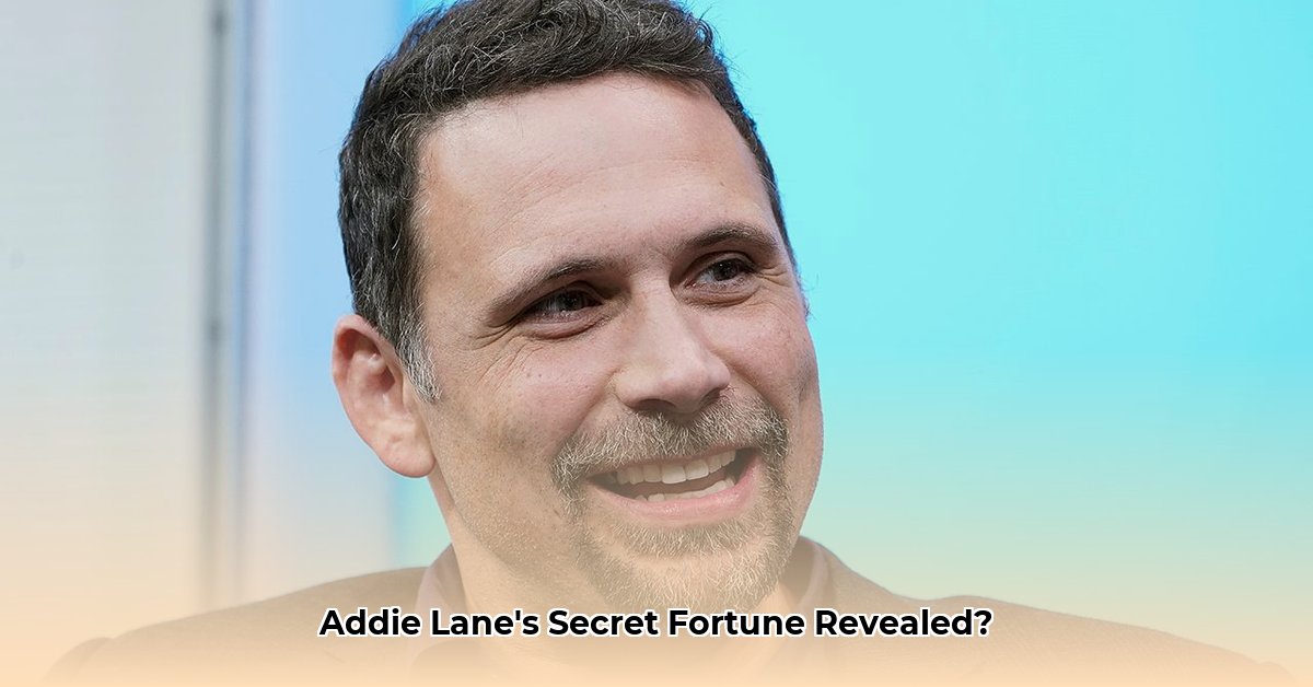 addie-lane-net-worth